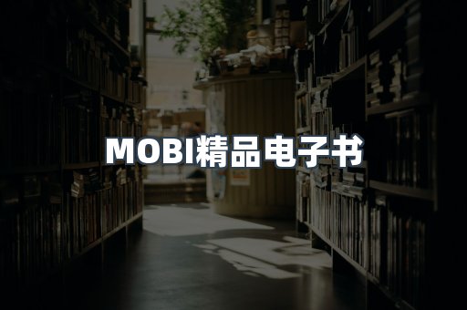 PDF电子书系列